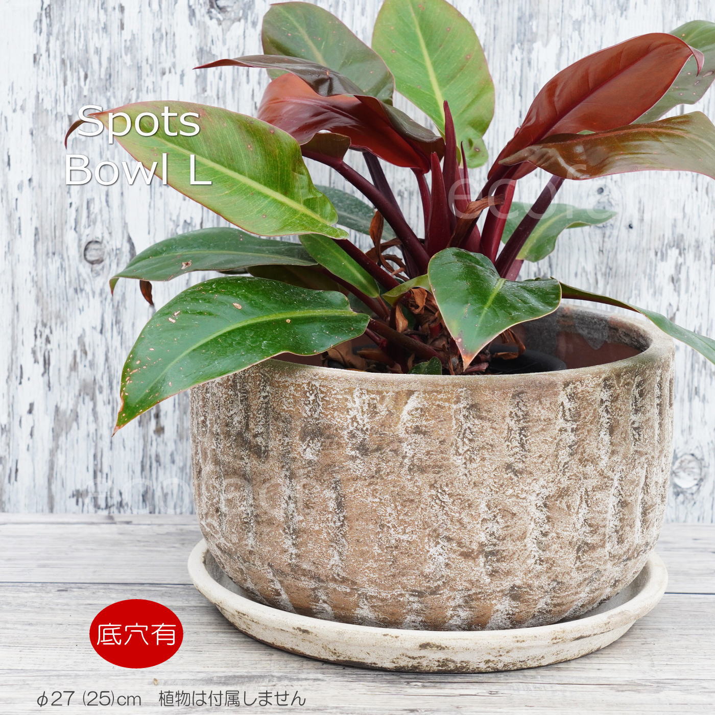 ポット 鉢 植木鉢 プランター おしゃれ 陶器 φ27cm スポッツボウル ラストL アッシュグレイ フラワーベース 花瓶 ガーデニング 園芸