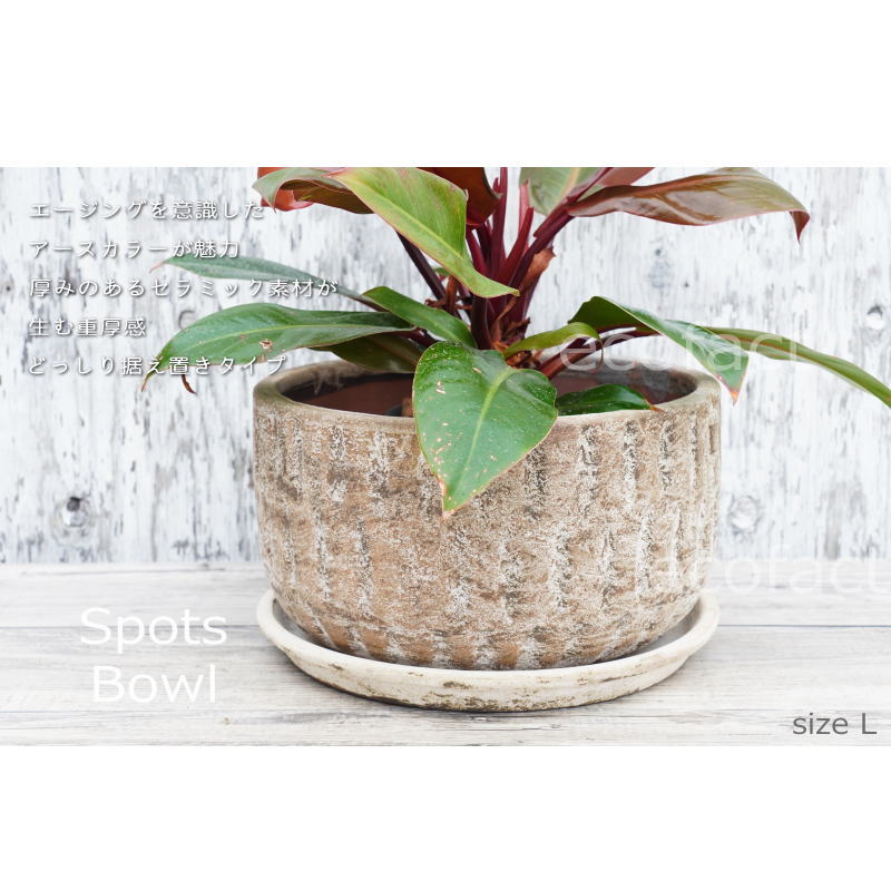 ポット 鉢 植木鉢 プランター おしゃれ 陶器 φ27cm スポッツボウル ラストL アッシュグレイ フラワーベース 花瓶 ガーデニング 園芸