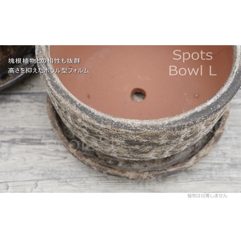 ポット 鉢 植木鉢 プランター おしゃれ 陶器 φ27cm スポッツボウル ラストL アッシュグレイ フラワーベース 花瓶 ガーデニング 園芸