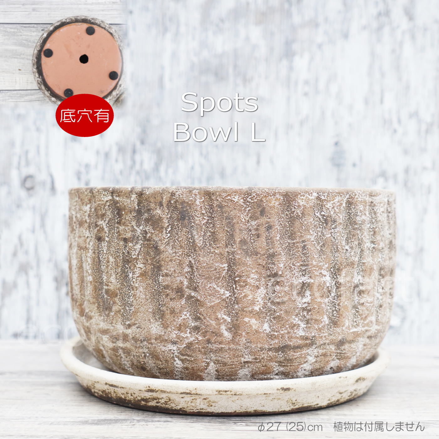 ポット 鉢 植木鉢 プランター おしゃれ 陶器 φ27cm スポッツボウル ラストL アッシュグレイ フラワーベース 花瓶 ガーデニング 園芸