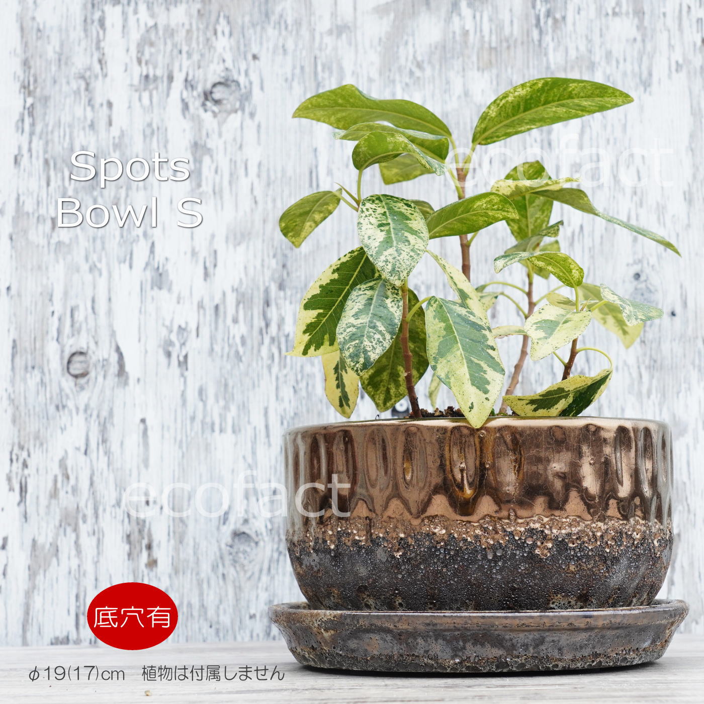 ポット 鉢 植木鉢 プランター おしゃれ 陶器 φ19 スポッツボウル ミックスM アッシュグレイ フラワーベース 花瓶 ガーデニング 園芸