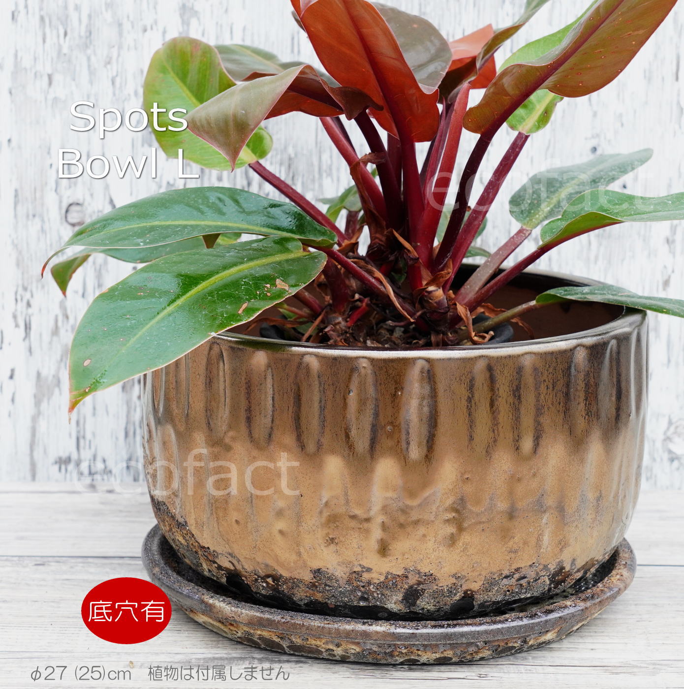 ポット 鉢 植木鉢 プランター おしゃれ 陶器 φ27cm スポッツボウルミックスL アッシュグレイ フラワーベース 花瓶 ガーデニング 園芸
