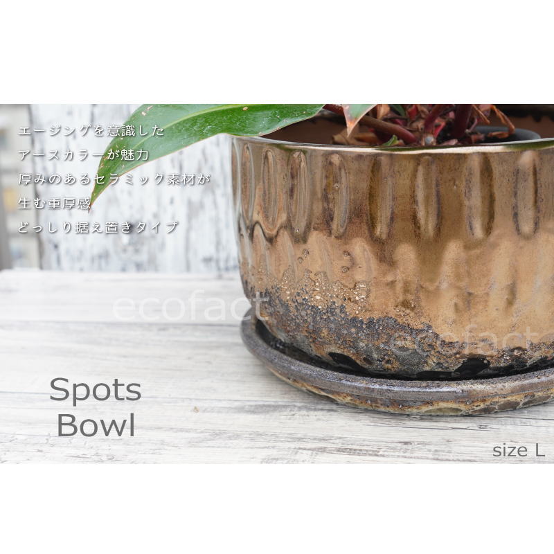 ポット 鉢 植木鉢 プランター おしゃれ 陶器 φ27cm スポッツボウルミックスL アッシュグレイ フラワーベース 花瓶 ガーデニング 園芸