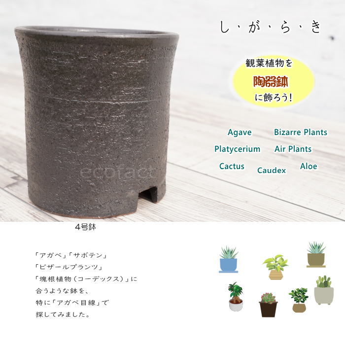 陶器鉢 植木鉢 4号 筒型 艶消し 黒 ブラック おしゃれ プランター 園芸鉢 かみ山陶器 信楽焼 観葉植物 アガベ サボテン ビザールプランツ 塊根植物 コーデックス 多肉植物 ポット
