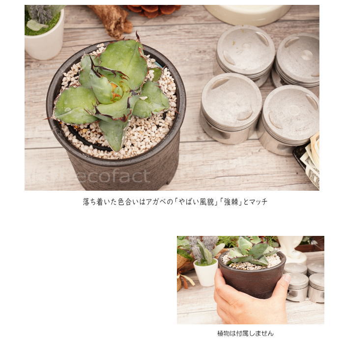 陶器鉢 植木鉢 4号 筒型 艶消し 黒 ブラック おしゃれ プランター 園芸鉢 かみ山陶器 信楽焼 観葉植物 アガベ サボテン ビザールプランツ 塊根植物 コーデックス 多肉植物 ポット