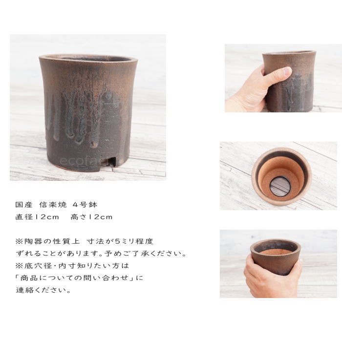 陶器鉢 植木鉢 4号 筒型 金彩 ゴールド/ブラック おしゃれ プランター 園芸鉢 かみ山陶器 信楽焼 観葉植物 アガベ サボテン ビザールプランツ 塊根植物 コーデックス 多肉植物 ポット