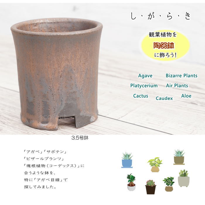 陶器鉢 植木鉢 3.5号 筒型 金彩 ゴールド/ブラック おしゃれ プランター 園芸鉢 かみ山陶器 信楽焼 観葉植物 アガベ サボテン ビザールプランツ 塊根植物 コーデックス 多肉植物 ポット