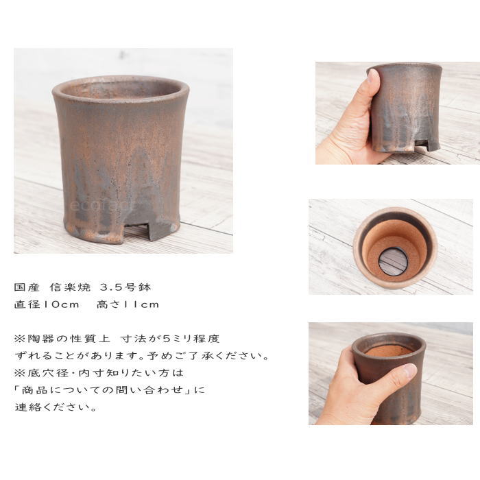 陶器鉢 植木鉢 3.5号 筒型 金彩 ゴールド/ブラック おしゃれ プランター 園芸鉢 かみ山陶器 信楽焼 観葉植物 アガベ サボテン ビザールプランツ 塊根植物 コーデックス 多肉植物 ポット