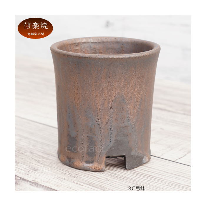 陶器鉢 植木鉢 3.5号 筒型 金彩 ゴールド/ブラック おしゃれ プランター 園芸鉢 かみ山陶器 信楽焼 観葉植物 アガベ サボテン ビザールプランツ 塊根植物 コーデックス 多肉植物 ポット