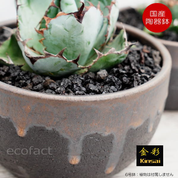 陶器鉢 植木鉢 6号 丸型 金彩 ゴールド/ブラック おしゃれ プランター 園芸鉢 かみ山陶器 信楽焼 観葉植物 アガベ サボテン ビザールプランツ 塊根植物 コーデックス 多肉植物 ポット