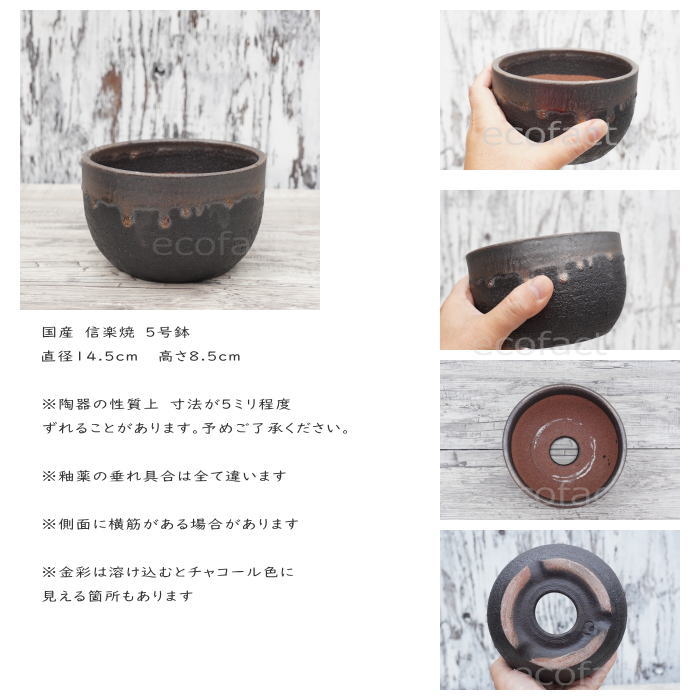 陶器鉢 植木鉢 5号 丸型 金彩 ゴールド/ブラック おしゃれ プランター 園芸鉢 かみ山陶器 信楽焼 観葉植物 アガベ サボテン ビザールプランツ 塊根植物 コーデックス 多肉植物 ポット
