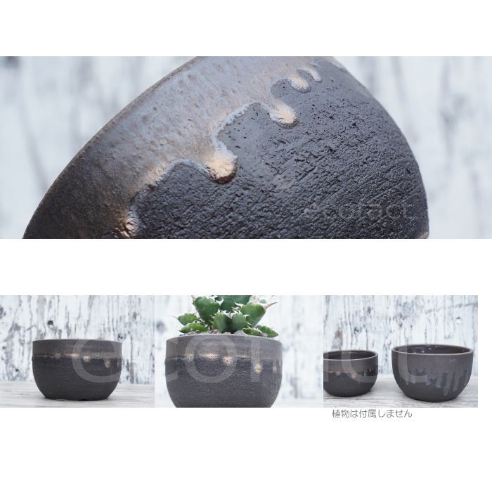 陶器鉢 植木鉢 5号 丸型 金彩 ゴールド/ブラック おしゃれ プランター 園芸鉢 かみ山陶器 信楽焼 観葉植物 アガベ サボテン ビザールプランツ 塊根植物 コーデックス 多肉植物 ポット
