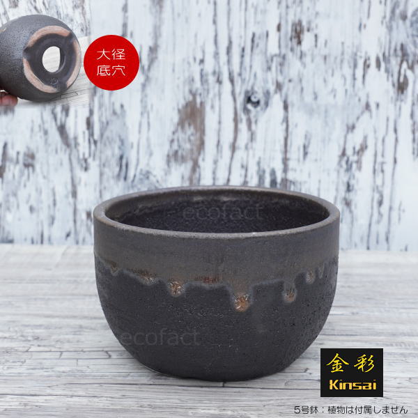 陶器鉢 植木鉢 5号 丸型 金彩 ゴールド/ブラック おしゃれ プランター 園芸鉢 かみ山陶器 信楽焼 観葉植物 アガベ サボテン ビザールプランツ 塊根植物 コーデックス 多肉植物 ポット