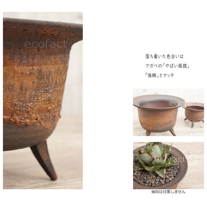 陶器鉢 植木鉢 高足型L φ20cm 金彩 ゴールド/ブラック おしゃれ プランター 園芸鉢 信楽焼 かみ山陶器 観葉植物 アガベ サボテン ビザールプランツ 塊根植物 コーデックス 多肉植物 ポット
