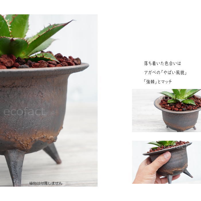 陶器鉢 植木鉢 高足型S 金彩 ゴールド/ブラック おしゃれ プランター 園芸鉢 信楽焼 かみ山陶器 観葉植物 アガベ サボテン ビザールプランツ 塊根植物 コーデックス 多肉植物 ポット