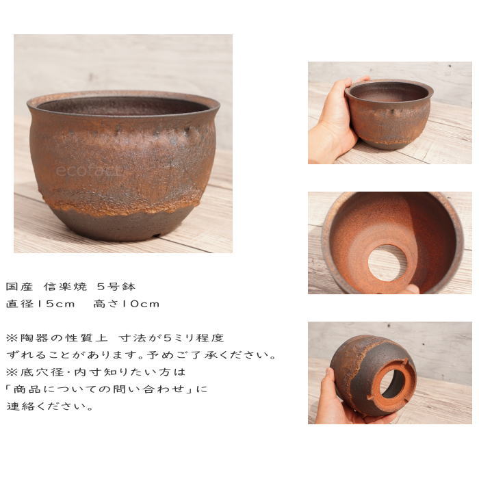 陶器鉢 植木鉢 5号 深丸型 金彩 ゴールド/ブラック おしゃれ プランター 園芸鉢 信楽焼 かみ山陶器 観葉植物 アガベ サボテン ビザールプランツ 塊根植物 コーデックス 多肉植物 ポット
