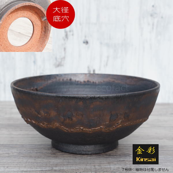 陶器鉢 植木鉢 7号 ワン型 金彩 ゴールド/ブラック おしゃれ プランター 園芸鉢 信楽焼 観葉植物 アガベ サボテン ビザールプランツ 塊根植物 コーデックス 多肉植物 ポット