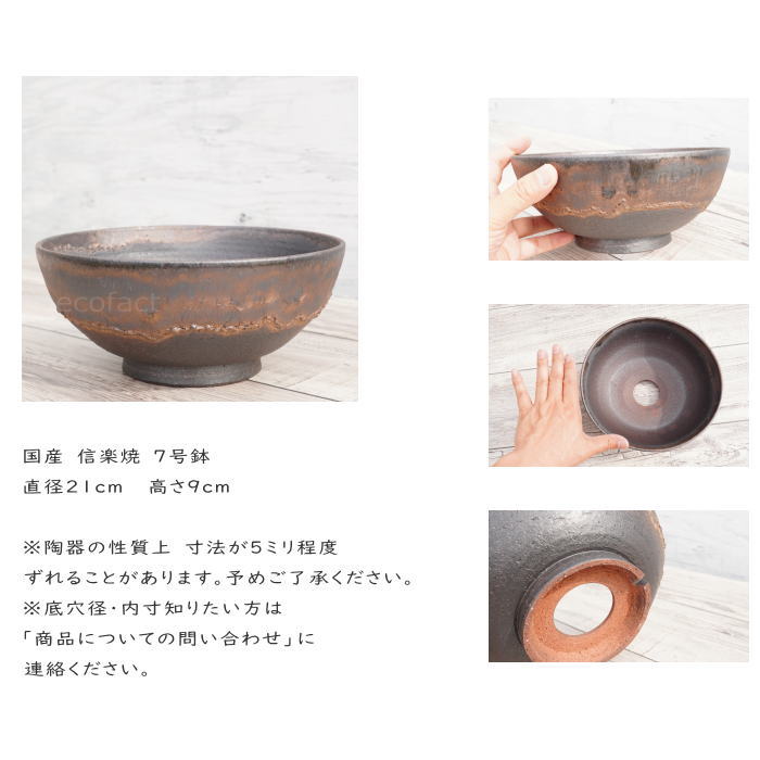 陶器鉢 植木鉢 7号 ワン型 金彩 ゴールド/ブラック おしゃれ プランター 園芸鉢 信楽焼 観葉植物 アガベ サボテン ビザールプランツ 塊根植物 コーデックス 多肉植物 ポット