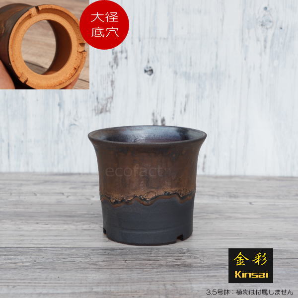 陶器鉢 植木鉢 3.5号 ラッパ型 金彩 ゴールド/ブラック おしゃれ プランター 園芸鉢 かみ山陶器 信楽焼 観葉植物 アガベ サボテン ビザールプランツ 塊根植物 コーデックス 多肉植物 ポット