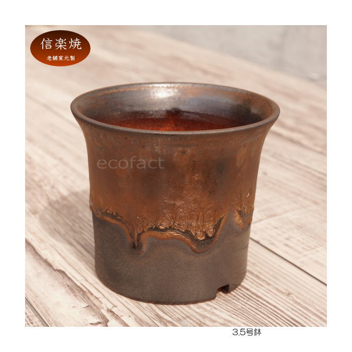 陶器鉢 植木鉢 3.5号 ラッパ型 金彩 ゴールド/ブラック おしゃれ プランター 園芸鉢 かみ山陶器 信楽焼 観葉植物 アガベ サボテン ビザールプランツ 塊根植物 コーデックス 多肉植物 ポット