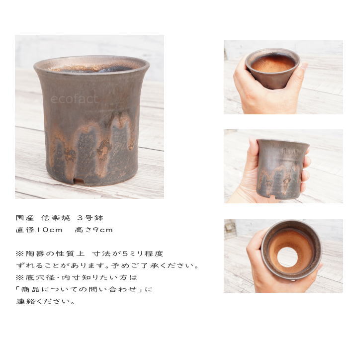 陶器鉢 植木鉢 3号 ラッパ型 金彩 ゴールド/ブラック おしゃれ プランター 園芸鉢 かみ山陶器 信楽焼 観葉植物 アガベ サボテン ビザールプランツ 塊根植物 コーデックス 多肉植物 ポット