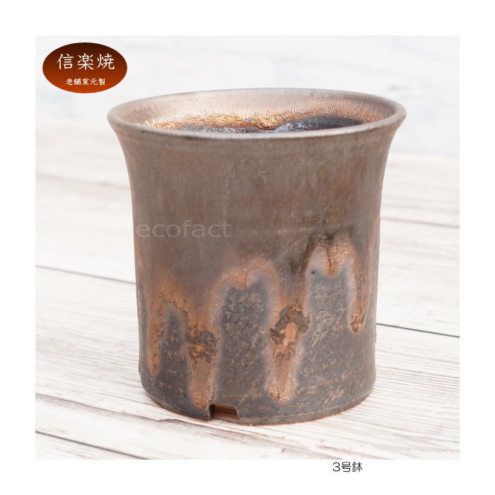 陶器鉢 植木鉢 3号 ラッパ型 金彩 ゴールド/ブラック おしゃれ プランター 園芸鉢 かみ山陶器 信楽焼 観葉植物 アガベ サボテン ビザールプランツ 塊根植物 コーデックス 多肉植物 ポット