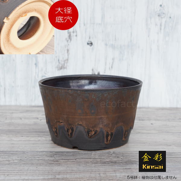 陶器鉢 植木鉢 5号 中深ソリ型 金彩 ゴールド/ブラック おしゃれ プランター 園芸鉢 かみ山陶器 信楽焼 観葉植物 アガベ サボテン ビザールプランツ 塊根植物 コーデックス 多肉植物 ポット