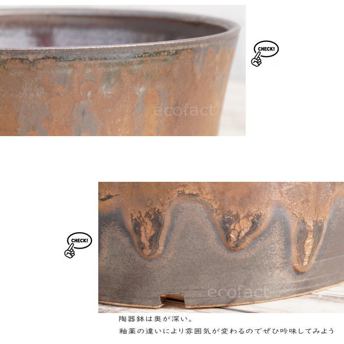陶器鉢 植木鉢 5号 中深ソリ型 金彩 ゴールド/ブラック おしゃれ プランター 園芸鉢 かみ山陶器 信楽焼 観葉植物 アガベ サボテン ビザールプランツ 塊根植物 コーデックス 多肉植物 ポット