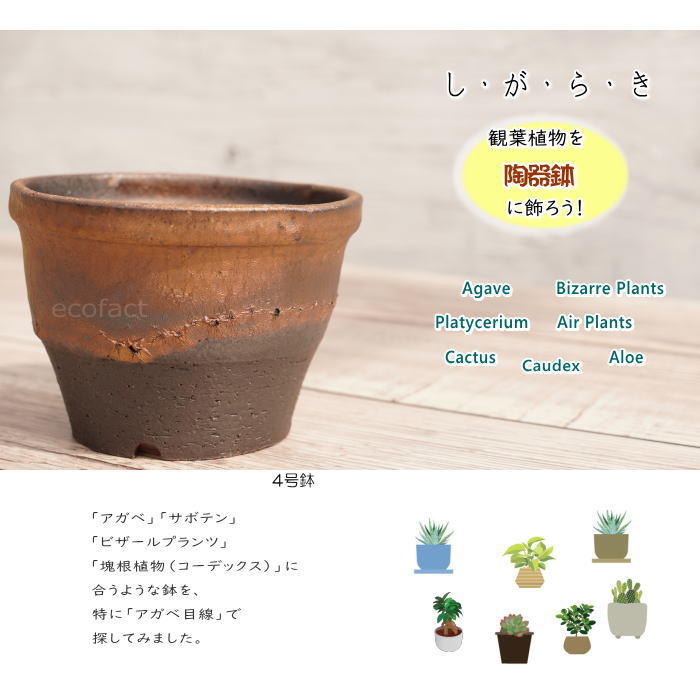 陶器鉢 植木鉢 4号 丸中深型 金彩 ゴールド/ブラック おしゃれ プランター 園芸鉢 かみ山陶器 信楽焼 観葉植物 アガベ サボテン ビザールプランツ 塊根植物 コーデックス 多肉植物 ポット
