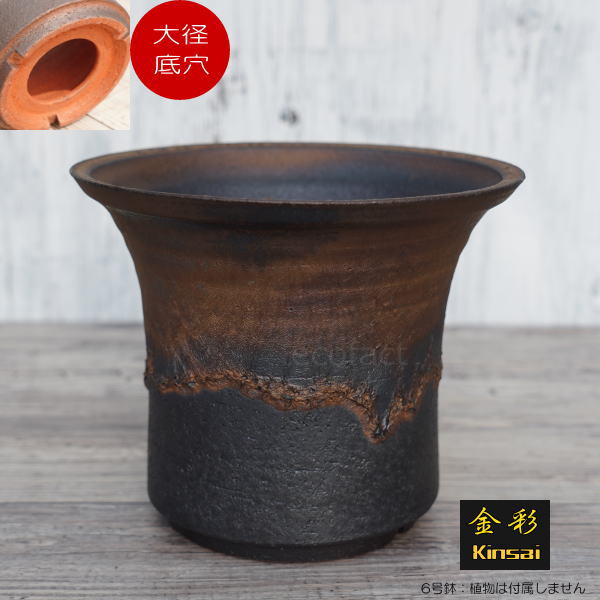 陶器鉢 植木鉢 6号 大深ソリ型 金彩 ゴールド/ブラック おしゃれ プランター 園芸鉢 かみ山陶器 信楽焼 観葉植物 アガベ サボテン ビザールプランツ 塊根植物 コーデックス 多肉植物 ポット