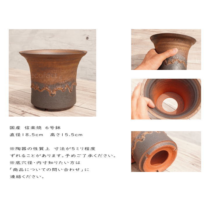 陶器鉢 植木鉢 6号 大深ソリ型 金彩 ゴールド/ブラック おしゃれ プランター 園芸鉢 かみ山陶器 信楽焼 観葉植物 アガベ サボテン ビザールプランツ 塊根植物 コーデックス 多肉植物 ポット
