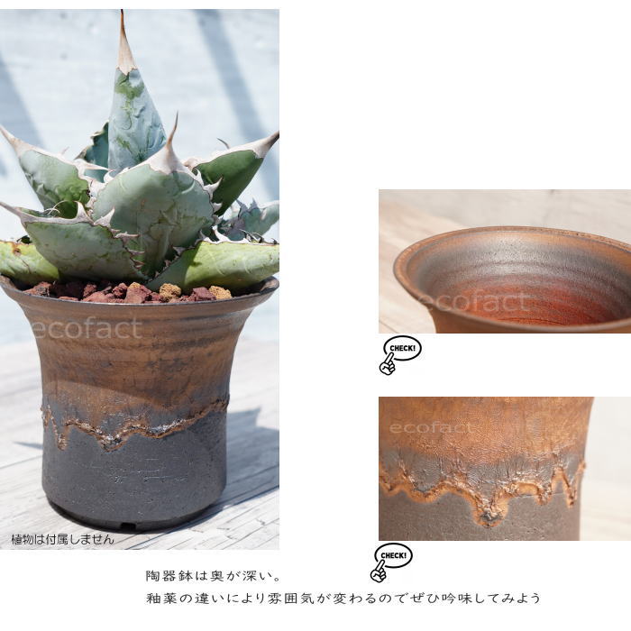陶器鉢 植木鉢 6号 大深ソリ型 金彩 ゴールド/ブラック おしゃれ プランター 園芸鉢 かみ山陶器 信楽焼 観葉植物 アガベ サボテン ビザールプランツ 塊根植物 コーデックス 多肉植物 ポット