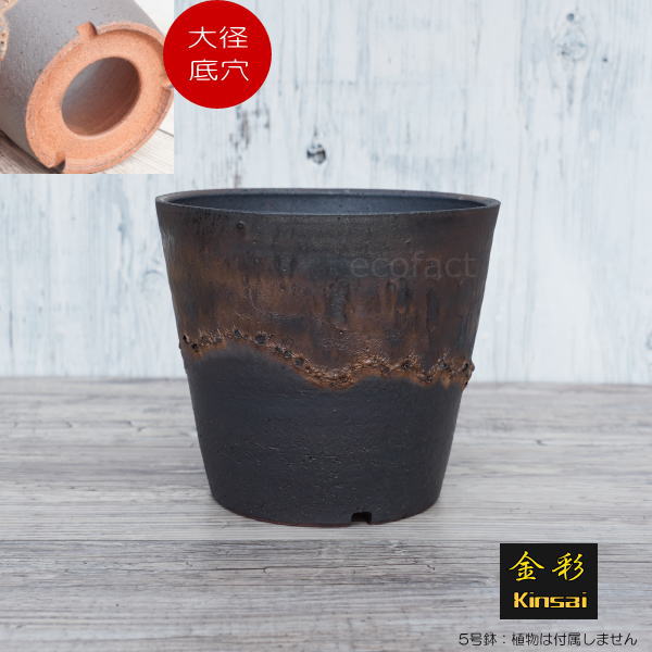 陶器鉢 植木鉢 5号 深ソリ型 金彩 ゴールド/ブラック おしゃれ プランター 園芸鉢 かみ山陶器 信楽焼 観葉植物 アガベ サボテン ビザールプランツ 塊根植物 コーデックス 多肉植物 ポット