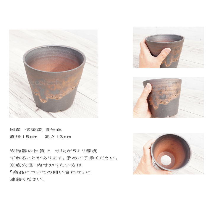 陶器鉢 植木鉢 5号 深ソリ型 金彩 ゴールド/ブラック おしゃれ プランター 園芸鉢 かみ山陶器 信楽焼 観葉植物 アガベ サボテン ビザールプランツ 塊根植物 コーデックス 多肉植物 ポット