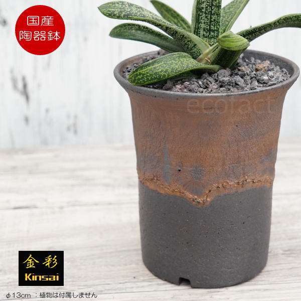 陶器鉢 植木鉢 4号 ラッパ型 金彩 ゴールド/ブラック おしゃれ プランター 園芸鉢 かみ山陶器 信楽焼 観葉植物 アガベ サボテン ビザールプランツ 塊根植物 コーデックス 多肉植物 ポット