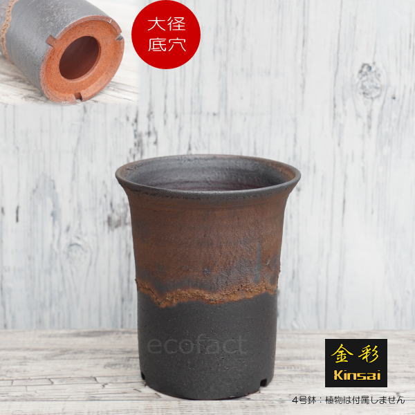 陶器鉢 植木鉢 4号 ラッパ型 金彩 ゴールド/ブラック おしゃれ プランター 園芸鉢 かみ山陶器 信楽焼 観葉植物 アガベ サボテン ビザールプランツ 塊根植物 コーデックス 多肉植物 ポット