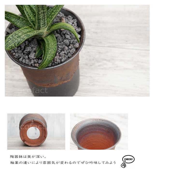 陶器鉢 植木鉢 4号 ラッパ型 金彩 ゴールド/ブラック おしゃれ プランター 園芸鉢 かみ山陶器 信楽焼 観葉植物 アガベ サボテン ビザールプランツ 塊根植物 コーデックス 多肉植物 ポット