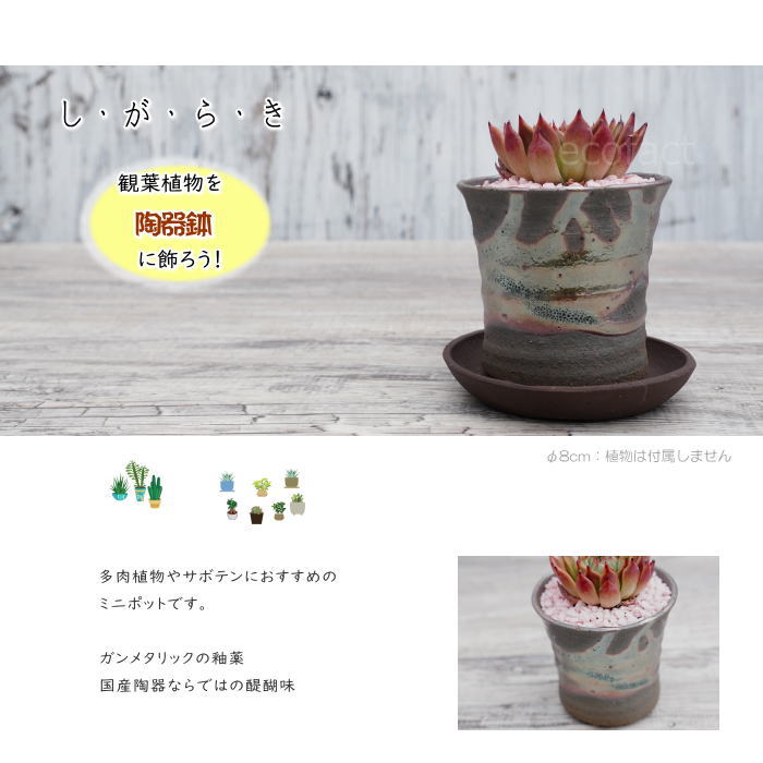 陶器鉢 植木鉢 小鉢 底穴あり 鉄釉そり細(ガンメタ)φ8cm 受皿付き おしゃれ プランター 園芸鉢 信楽焼(しがらきやき)かみ山陶器 コーデックス 塊根植物