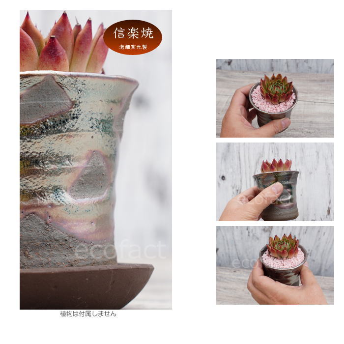 陶器鉢 植木鉢 小鉢 底穴あり 鉄釉そり細(ガンメタ)φ8cm 受皿付き おしゃれ プランター 園芸鉢 信楽焼(しがらきやき)かみ山陶器 コーデックス 塊根植物