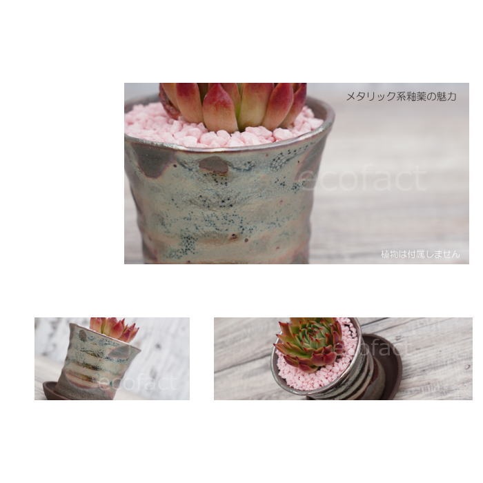 陶器鉢 植木鉢 小鉢 底穴あり 鉄釉そり細(ガンメタ)φ8cm 受皿付き おしゃれ プランター 園芸鉢 信楽焼(しがらきやき)かみ山陶器 コーデックス 塊根植物