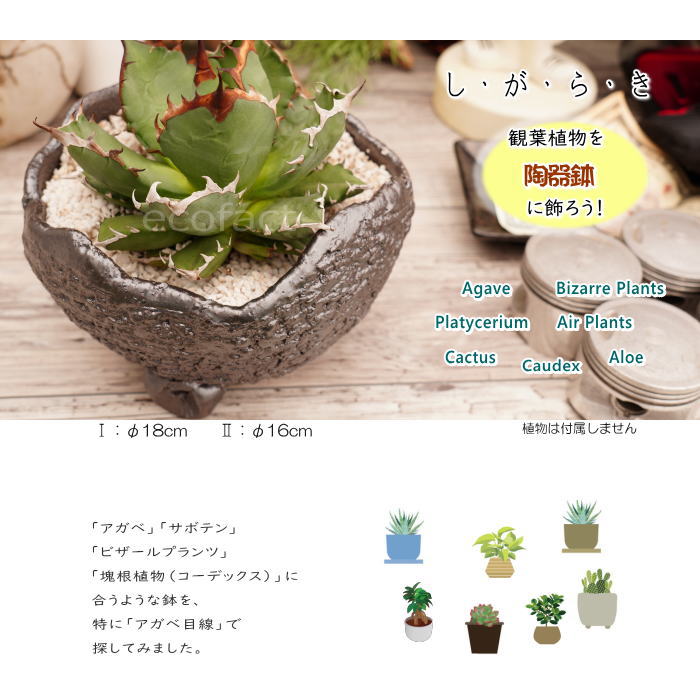 陶器鉢 植木鉢 RAIZO1 φ18cm ガンメタリック 黒 脚付き おしゃれ プランター 園芸鉢 かみ山陶器 信楽焼 アガベ サボテン ビザールプランツ 塊根植物 コーデックス 多肉植物 ポット