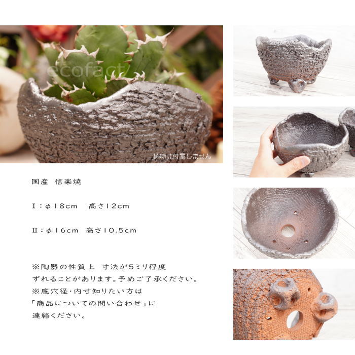 陶器鉢 植木鉢 RAIZO1 φ18cm ガンメタリック 黒 脚付き おしゃれ プランター 園芸鉢 かみ山陶器 信楽焼 アガベ サボテン ビザールプランツ 塊根植物 コーデックス 多肉植物 ポット