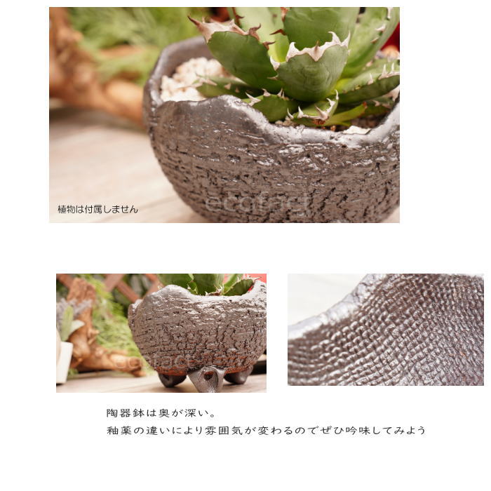陶器鉢 植木鉢 RAIZO1 φ18cm ガンメタリック 黒 脚付き おしゃれ プランター 園芸鉢 かみ山陶器 信楽焼 アガベ サボテン ビザールプランツ 塊根植物 コーデックス 多肉植物 ポット