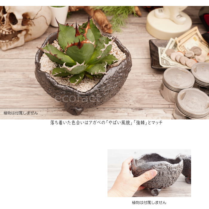 陶器鉢 植木鉢 RAIZO1 φ18cm ガンメタリック 黒 脚付き おしゃれ プランター 園芸鉢 かみ山陶器 信楽焼 アガベ サボテン ビザールプランツ 塊根植物 コーデックス 多肉植物 ポット