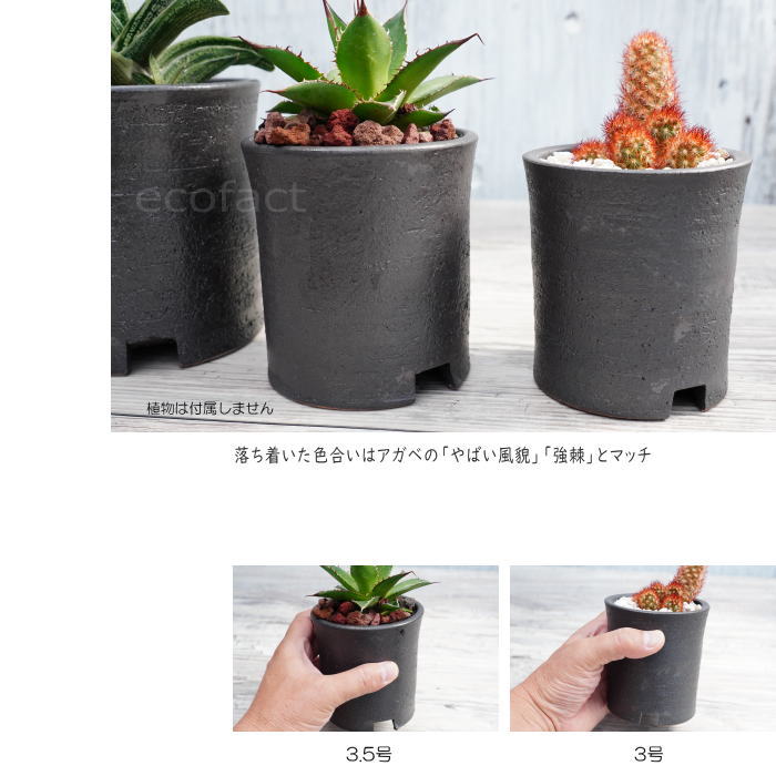 陶器鉢 植木鉢 3.5号 筒型 艶消し 黒 ブラック おしゃれ プランター 園芸鉢 かみ山陶器 信楽焼 観葉植物 アガベ サボテン ビザールプランツ 塊根植物 コーデックス 多肉植物 ポット