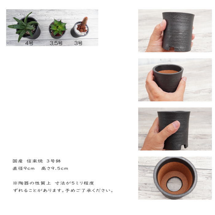 陶器鉢 植木鉢 3号 筒型 艶消し 黒 ブラック おしゃれ プランター 園芸鉢 かみ山陶器 信楽焼 観葉植物 アガベ サボテン ビザールプランツ 塊根植物 コーデックス 多肉植物 ポット