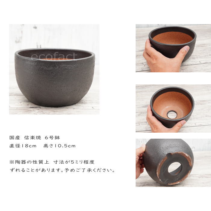 陶器鉢 植木鉢 6号 丸型 艶消し 黒 ブラック おしゃれ プランター 園芸鉢 かみ山陶器 信楽焼 アガベ サボテン ビザールプランツ 塊根植物 コーデックス 多肉植物 観葉植物 ポット
