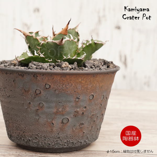 陶器鉢 植木鉢 5号 クレーターポット φ15cm 中深 ゴールド/ブラック おしゃれ プランター 園芸鉢 信楽焼 かみ山陶器 観葉植物 アガベ サボテン ビザールプランツ 塊根植物 コーデックス 多肉植物 ポット