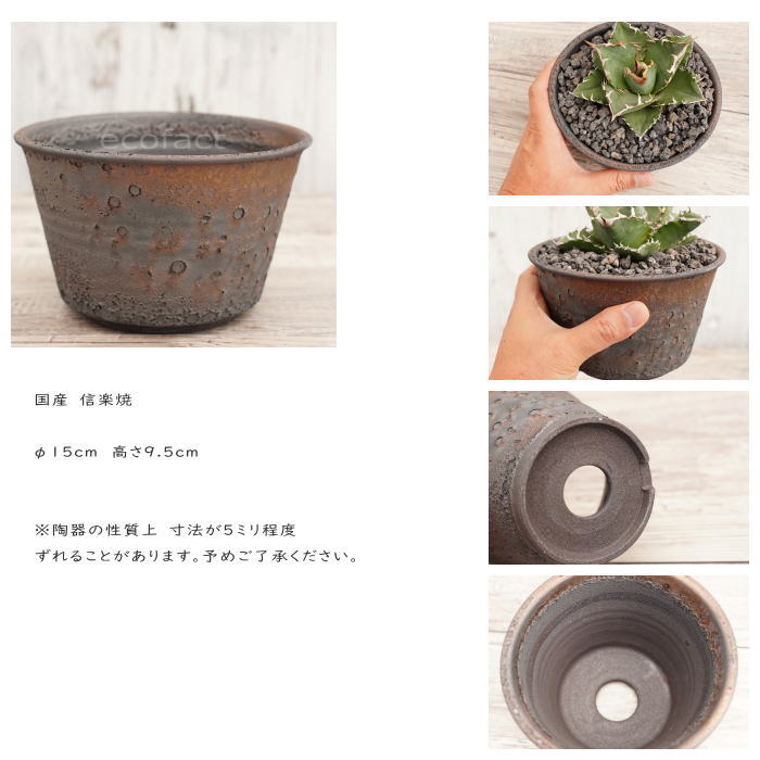 陶器鉢 植木鉢 5号 クレーターポット φ15cm 中深 ゴールド/ブラック おしゃれ プランター 園芸鉢 信楽焼 かみ山陶器 観葉植物 アガベ サボテン ビザールプランツ 塊根植物 コーデックス 多肉植物 ポット