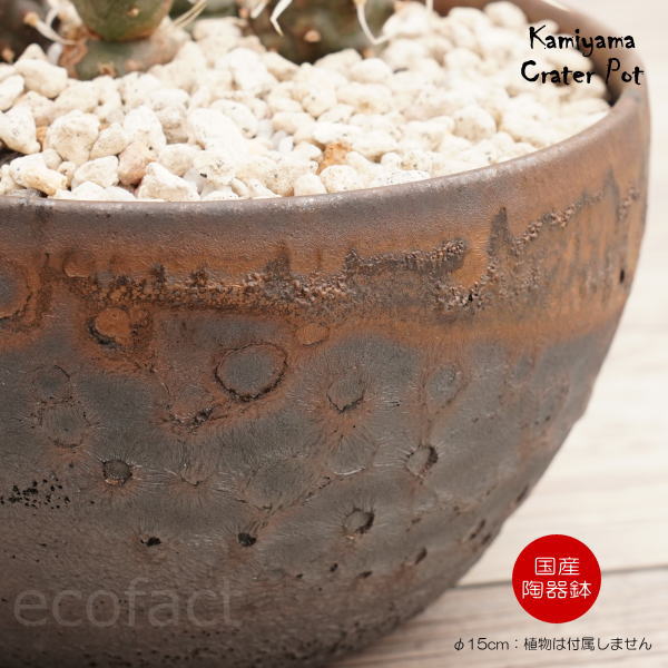陶器鉢 植木鉢 5号 クレーターポット φ15cm 中深丸 ゴールド/ブラック おしゃれ プランター 園芸鉢 信楽焼 かみ山陶器 観葉植物 アガベ サボテン ビザールプランツ 塊根植物 コーデックス 多肉植物 ポット